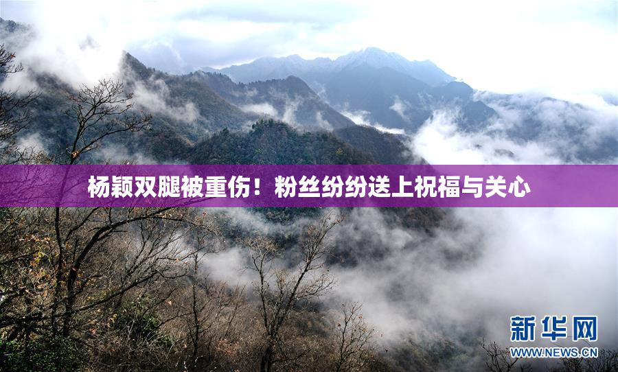 杨颖双腿被重伤！粉丝纷纷送上祝福与关心