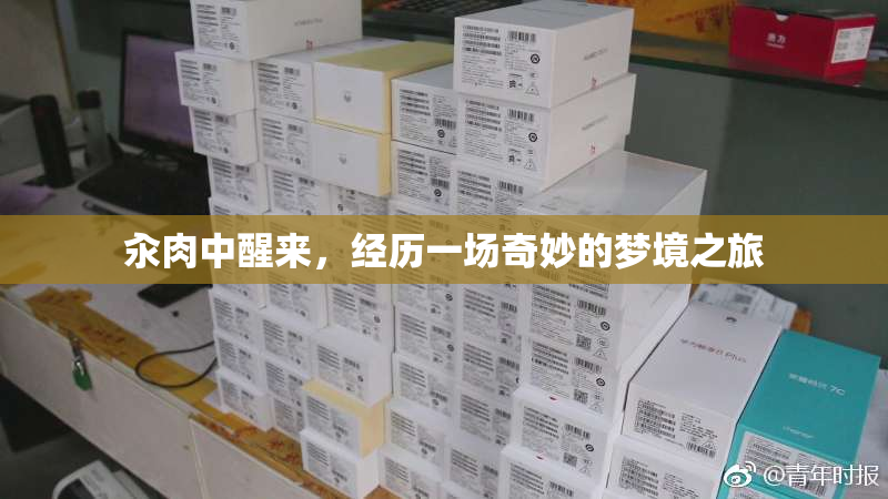 汆肉中醒来，经历一场奇妙的梦境之旅