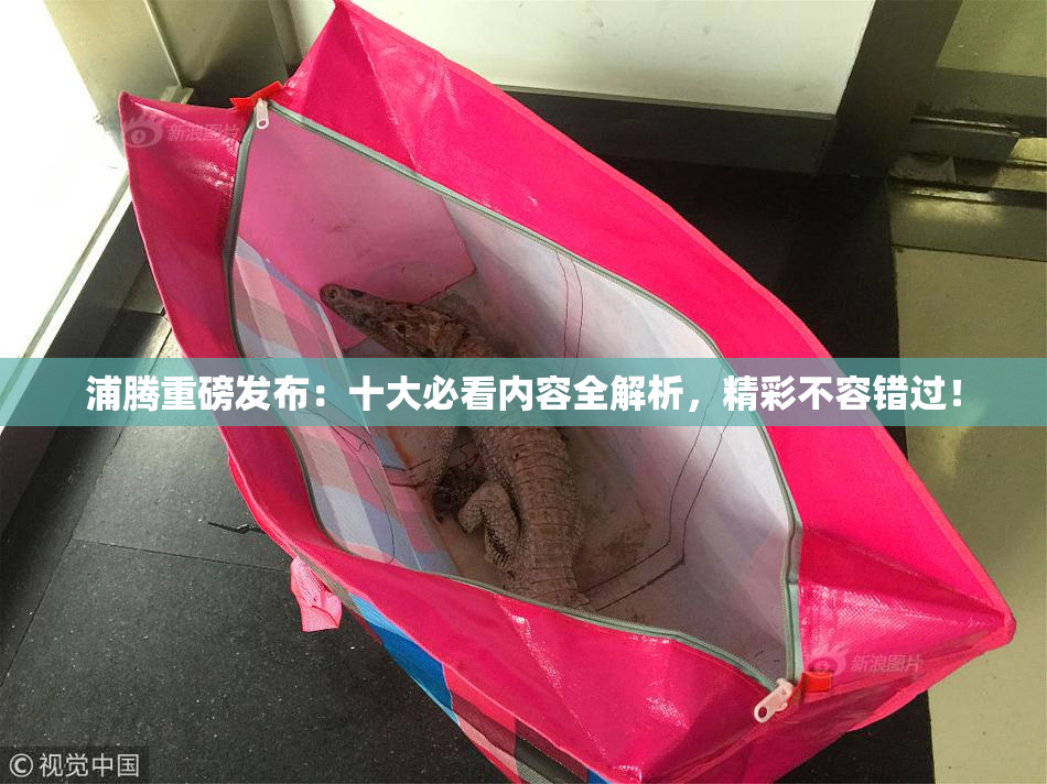 浦腾重磅发布：十大必看内容全解析，精彩不容错过！
