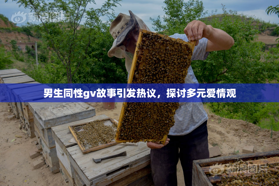 男生同性gv故事引发热议，探讨多元爱情观