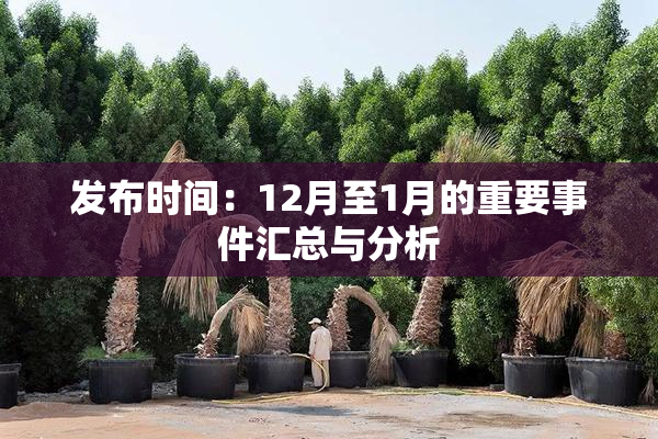 发布时间：12月至1月的重要事件汇总与分析