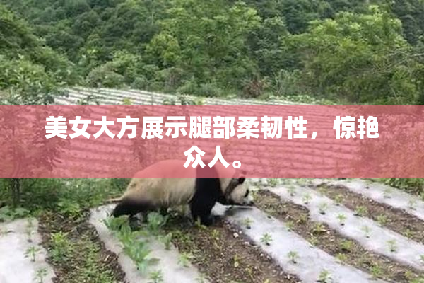 美女大方展示腿部柔韧性，惊艳众人。