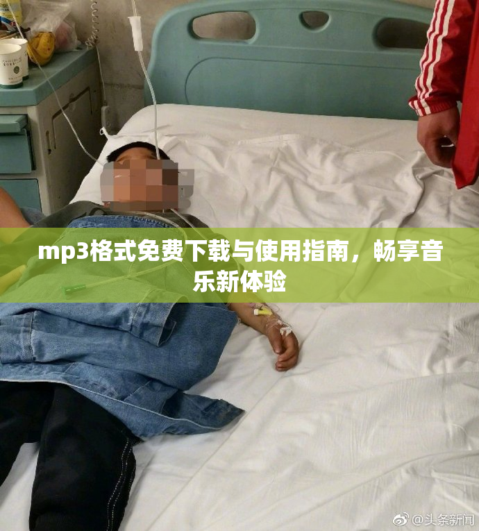 mp3格式免费下载与使用指南，畅享音乐新体验