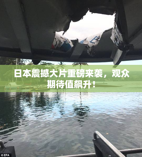 日本震撼大片重磅来袭，观众期待值飙升！