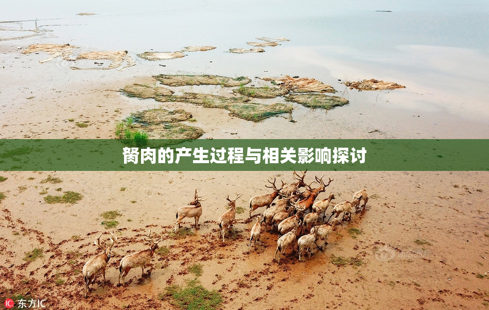 胬肉的产生过程与相关影响探讨