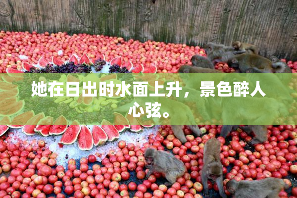 她在日出时水面上升，景色醉人心弦。