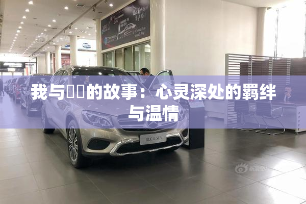 我与妺妺的故事：心灵深处的羁绊与温情