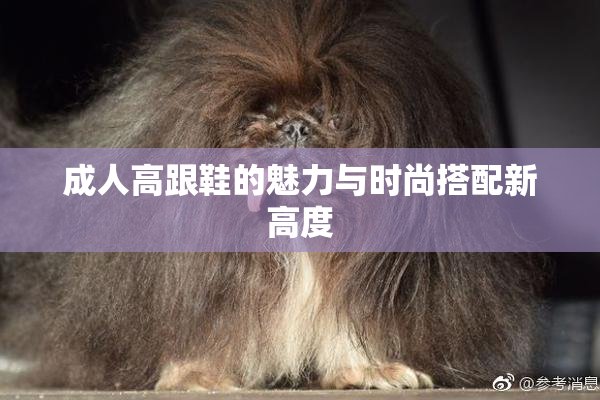 成人高跟鞋的魅力与时尚搭配新高度
