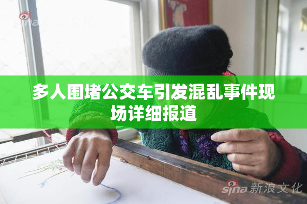 多人围堵公交车引发混乱事件现场详细报道