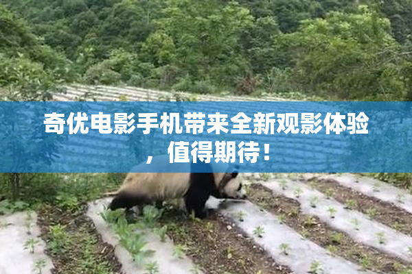 奇优电影手机带来全新观影体验，值得期待！