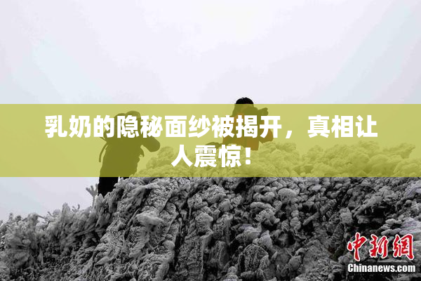 乳奶的隐秘面纱被揭开，真相让人震惊！