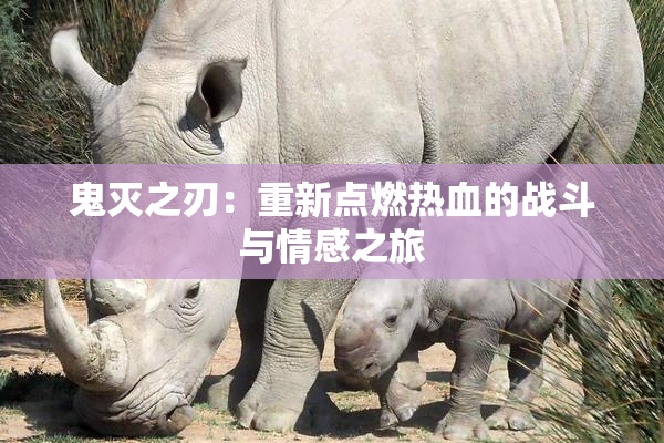 鬼灭之刃：重新点燃热血的战斗与情感之旅