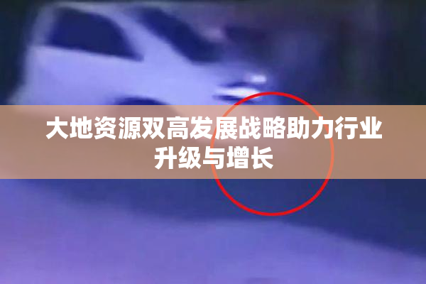 大地资源双高发展战略助力行业升级与增长