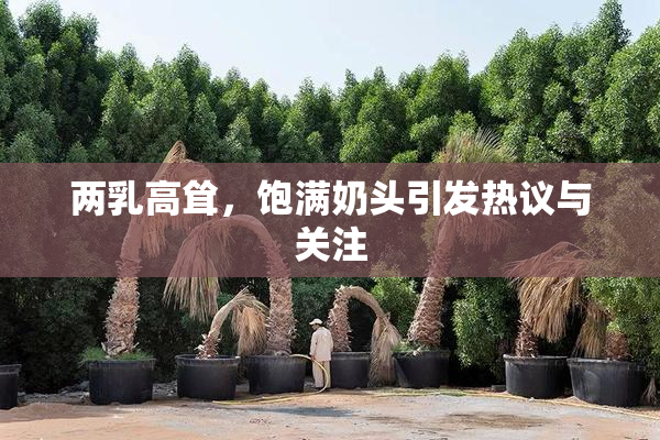 两乳高耸，饱满奶头引发热议与关注