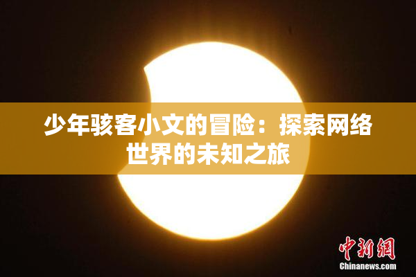 少年骇客小文的冒险：探索网络世界的未知之旅