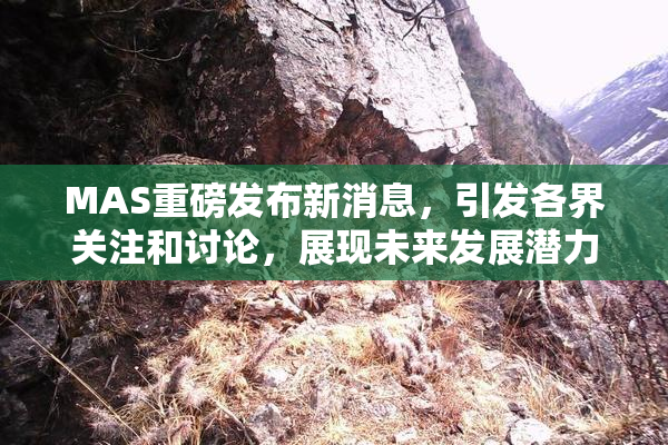 MAS重磅发布新消息，引发各界关注和讨论，展现未来发展潜力