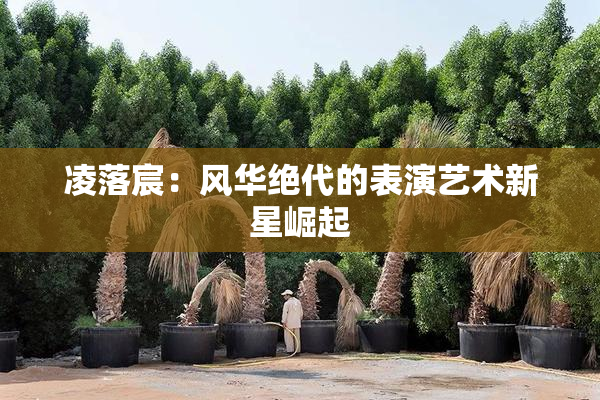 凌落宸：风华绝代的表演艺术新星崛起