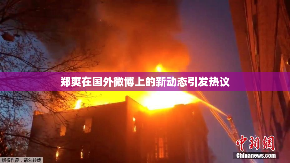郑爽在国外微博上的新动态引发热议