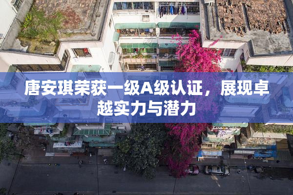唐安琪荣获一级A级认证，展现卓越实力与潜力