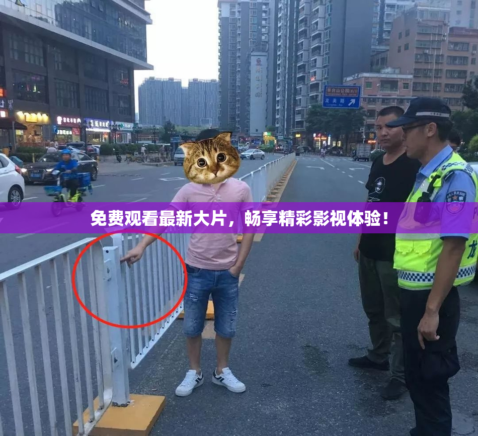 免费观看最新大片，畅享精彩影视体验！