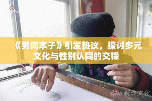《男同本子》引发热议，探讨多元文化与性别认同的交锋