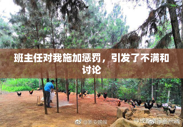 班主任对我施加惩罚，引发了不满和讨论