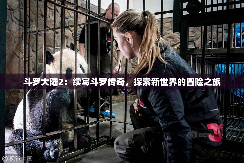 斗罗大陆2：续写斗罗传奇，探索新世界的冒险之旅