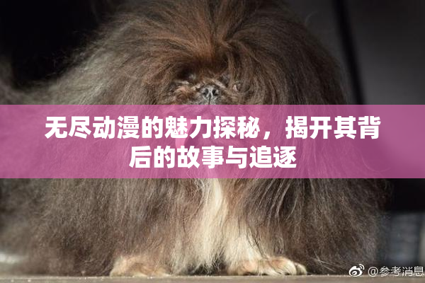 无尽动漫的魅力探秘，揭开其背后的故事与追逐