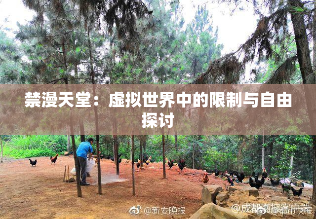 禁漫天堂：虚拟世界中的限制与自由探讨