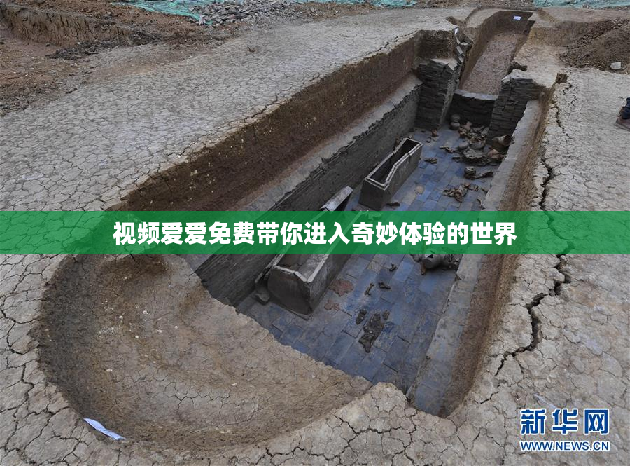 视频爱爱免费带你进入奇妙体验的世界
