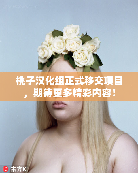 桃子汉化组正式移交项目，期待更多精彩内容！