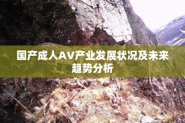 国产成人AV产业发展状况及未来趋势分析