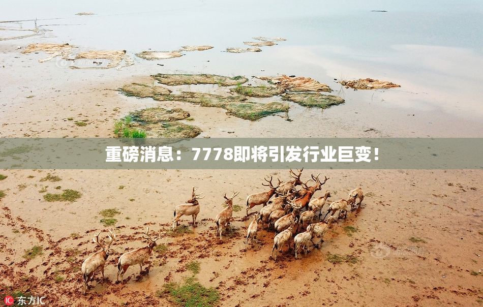 重磅消息：7778即将引发行业巨变！