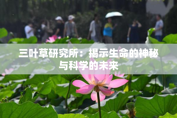 三叶草研究所：揭示生命的神秘与科学的未来
