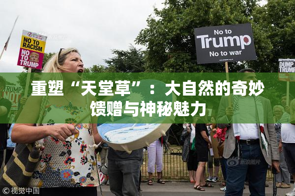 重塑“天堂草”：大自然的奇妙馈赠与神秘魅力