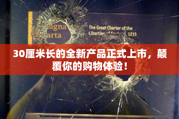 30厘米长的全新产品正式上市，颠覆你的购物体验！