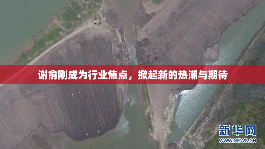 谢俞刚成为行业焦点，掀起新的热潮与期待