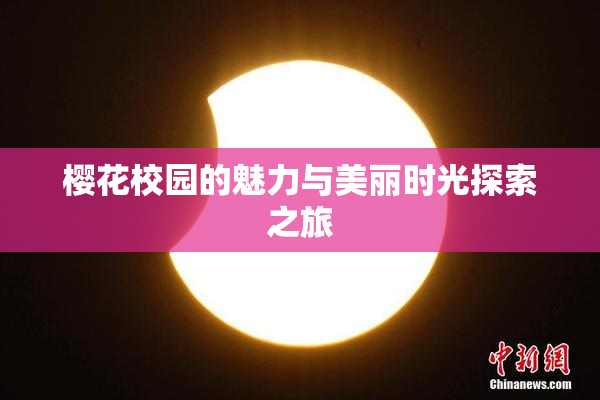 樱花校园的魅力与美丽时光探索之旅