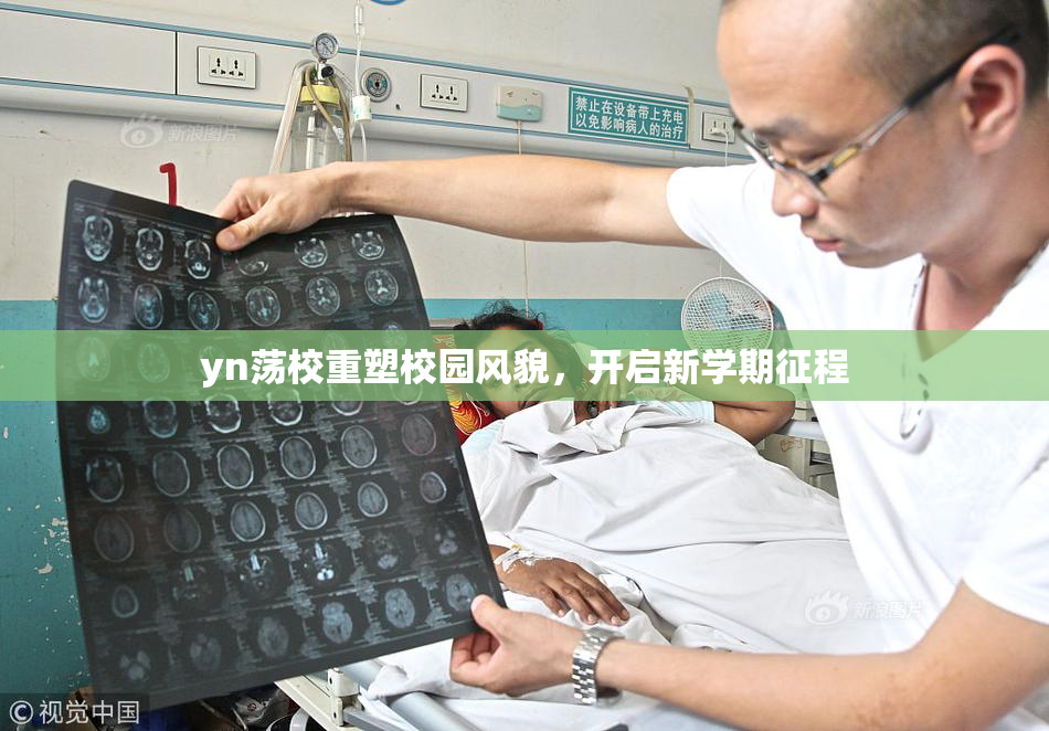 yn荡校重塑校园风貌，开启新学期征程
