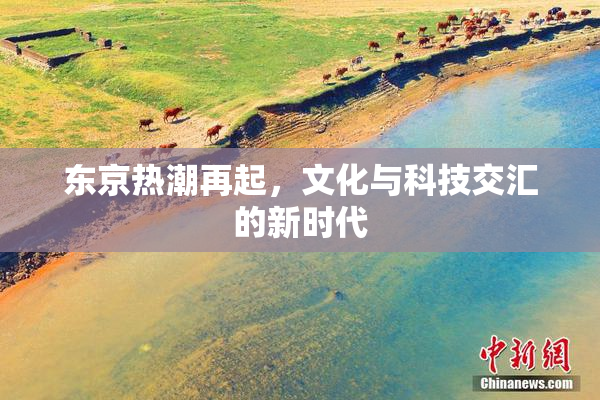 东京热潮再起，文化与科技交汇的新时代