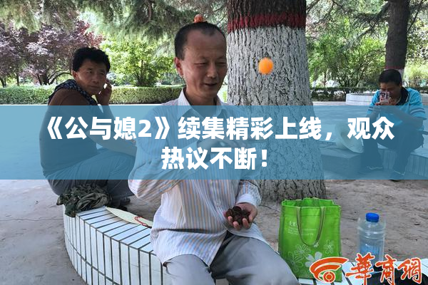 《公与媳2》续集精彩上线，观众热议不断！