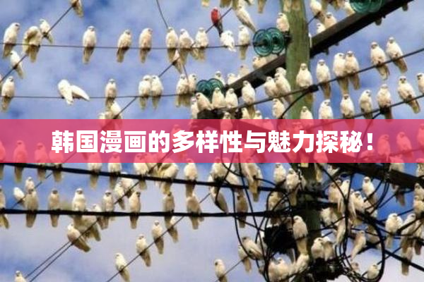 韩国漫画的多样性与魅力探秘！