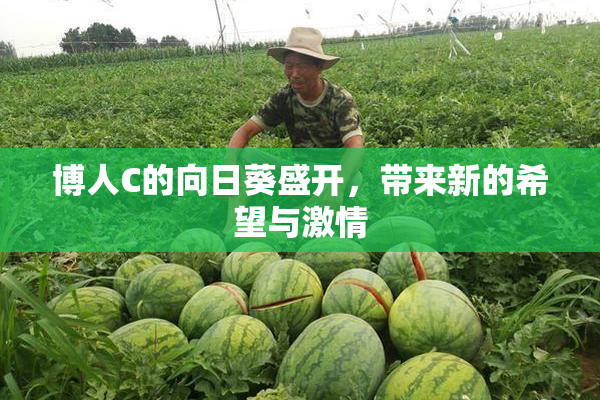 博人C的向日葵盛开，带来新的希望与激情