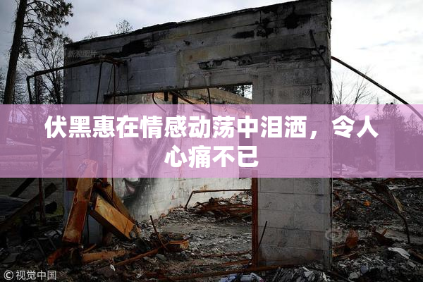 伏黑惠在情感动荡中泪洒，令人心痛不已