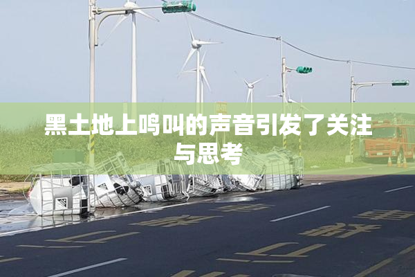 黑土地上鸣叫的声音引发了关注与思考