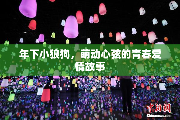 年下小狼狗，萌动心弦的青春爱情故事