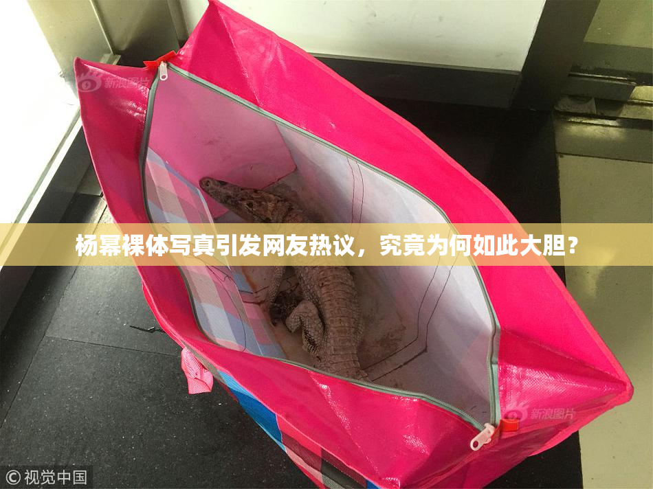 杨幂裸体写真引发网友热议，究竟为何如此大胆？