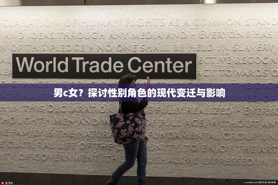 男c女？探讨性别角色的现代变迁与影响
