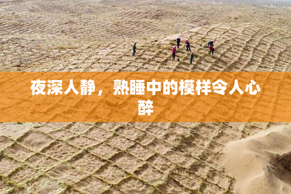 夜深人静，熟睡中的模样令人心醉