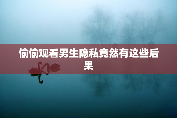 偷偷观看男生隐私竟然有这些后果